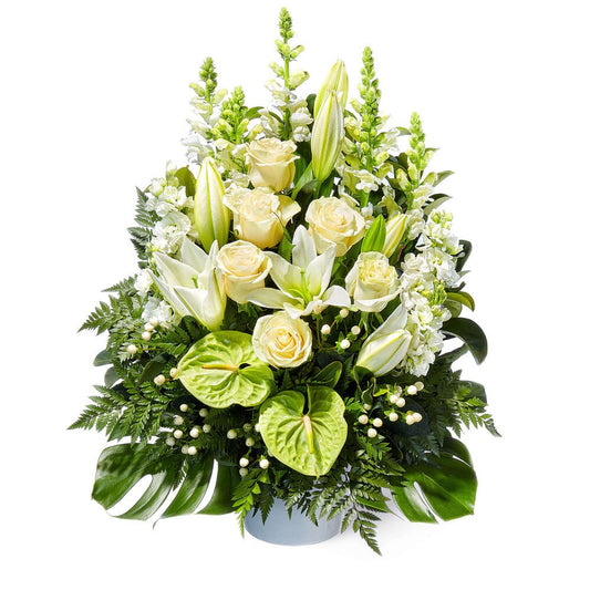Pure Compassion Arrangement with white roses lilies anthuriums and lush greenery in a vase for sympathy flowers and same day delivery flowers